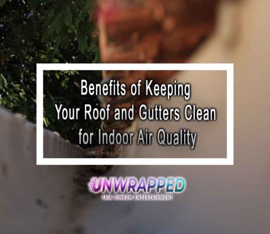 Benefits of Keeping Your Roof and Gutters Clean for Indoor Air Quality Benefits of Keeping Your Roof and Gutters Clean for Indoor Air Quality