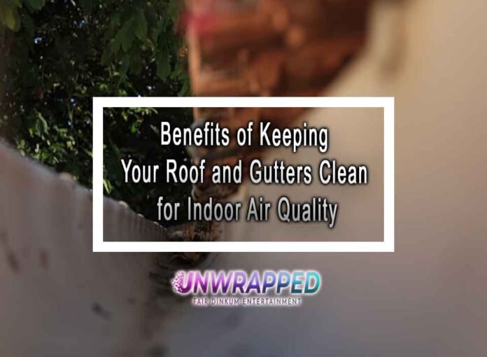 Benefits of Keeping Your Roof and Gutters Clean for Indoor Air Quality