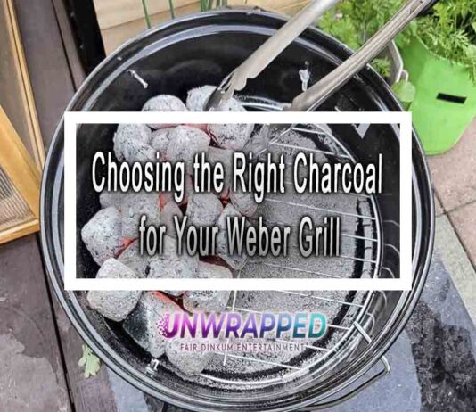 Choosing the Right Charcoal for Your Weber Grill Choosing the Right Charcoal for Your Weber Grill