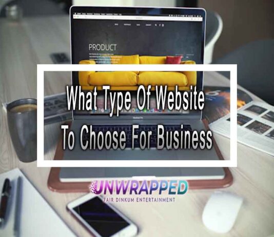 What Type Of Website To Choose For Business