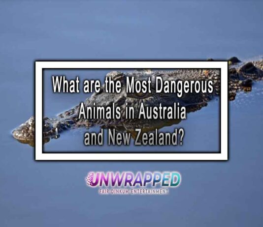 What are the Most Dangerous Animals in Australia and New Zealand? What are the Most Dangerous Animals in Australia and New Zealand?