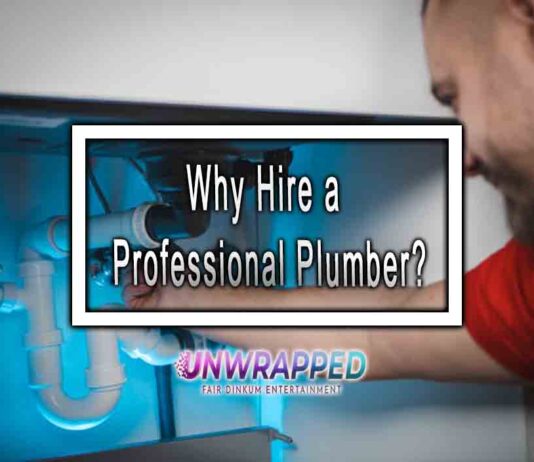Why Hire a Professional Plumber?