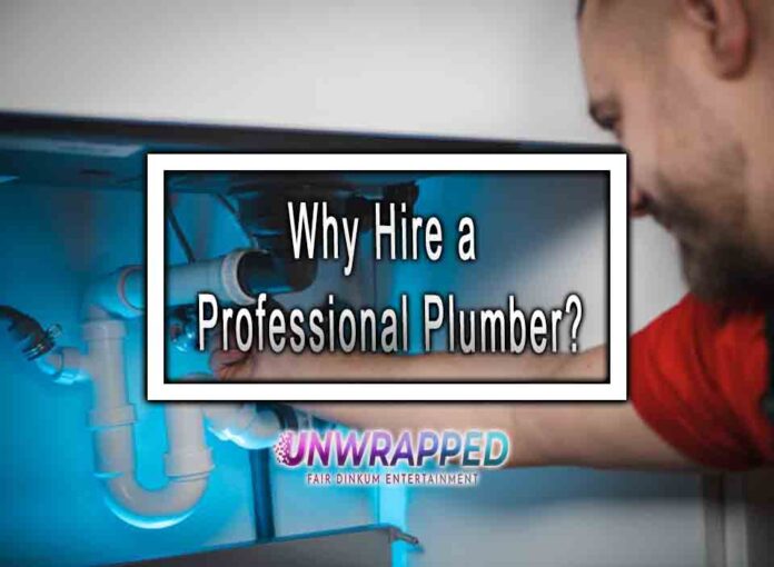 Why Hire a Professional Plumber?