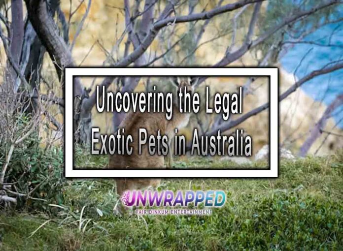 Uncovering the Legal Exotic Pets in Australia