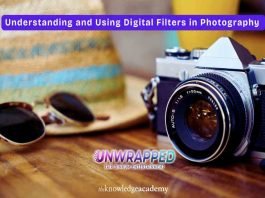 Understanding and Using Digital Filters in Photography