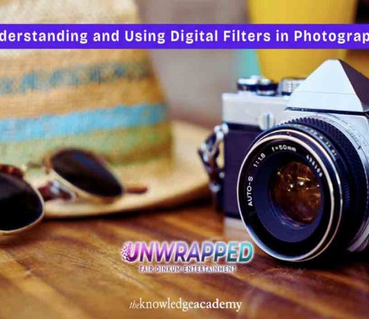 Understanding and Using Digital Filters in Photography