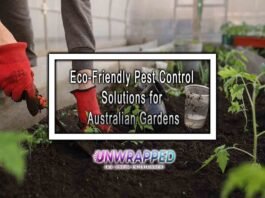 Eco-Friendly Pest Control Solutions for Australian Gardens