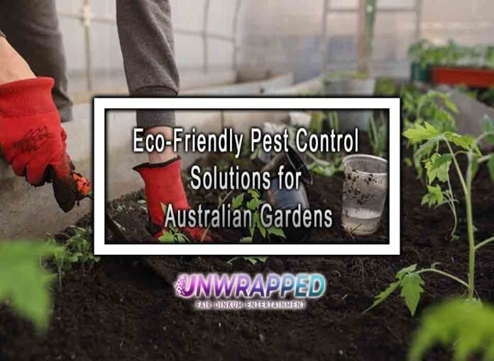 Eco-Friendly Pest Control Solutions for Australian Gardens