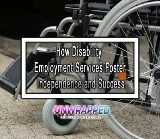 How Disability Employment Services Foster Independence and Success