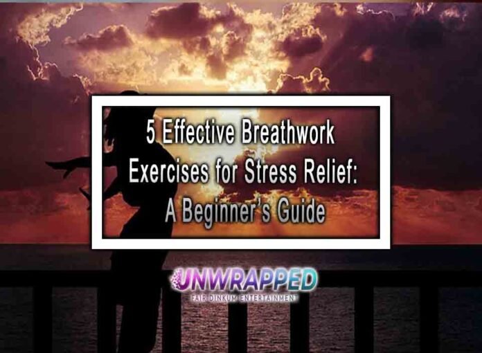 5 Effective Breathwork Exercises for Stress Relief: A Beginner’s Guide