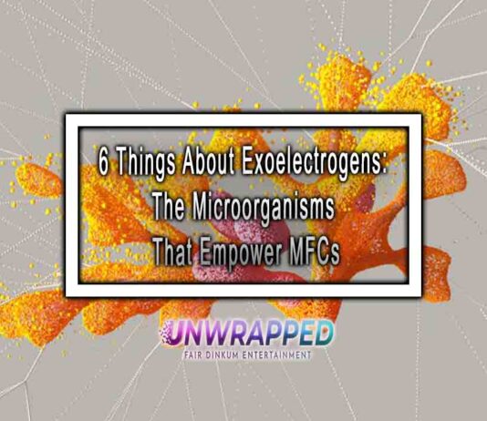 6 Things About Exoelectrogens: The Microorganisms That Empower MFCs
