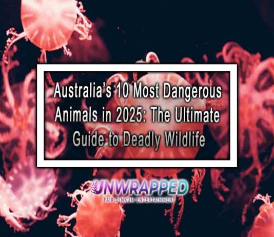 Australia’s 10 Most Dangerous Animals in 2025: The Ultimate Guide to Deadly Wildlife