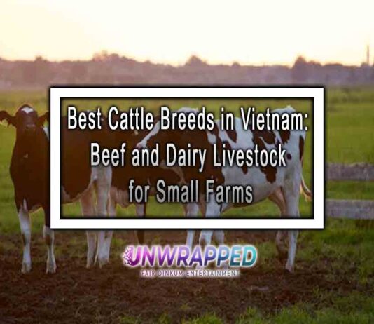 Best Cattle Breeds in Vietnam: Beef and Dairy Livestock for Small Farms