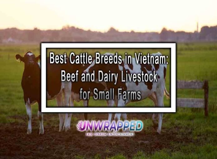 Best Cattle Breeds in Vietnam: Beef and Dairy Livestock for Small Farms