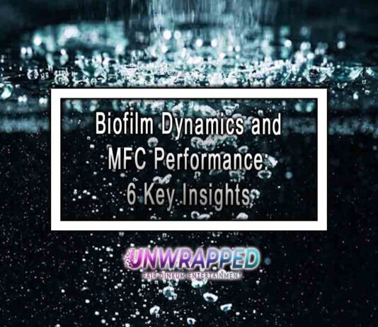 Biofilm Dynamics and MFC Performance: 6 Key Insights