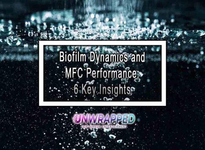 Biofilm Dynamics and MFC Performance 6 Key Insights Biofilm Dynamics and MFC Performance: 6 Key Insights