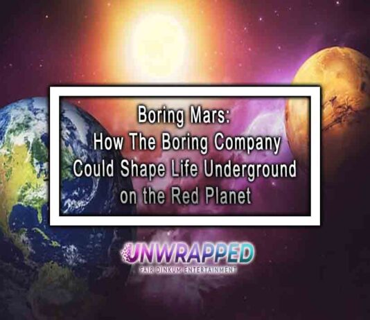 Boring Mars: How The Boring Company Could Shape Life Underground on the Red Planet Boring Mars: How The Boring Company Could Shape Life Underground on the Red Planet