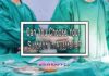 Can You Choose Your Surgeon in Australia? Can You Choose Your Surgeon in Australia?