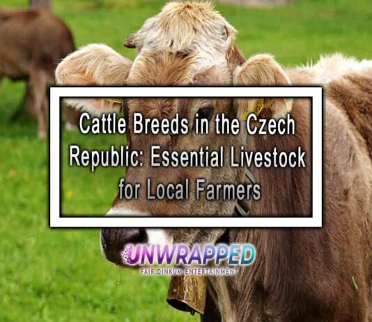 Cattle Breeds in the Czech Republic: Essential Livestock for Local Farmers