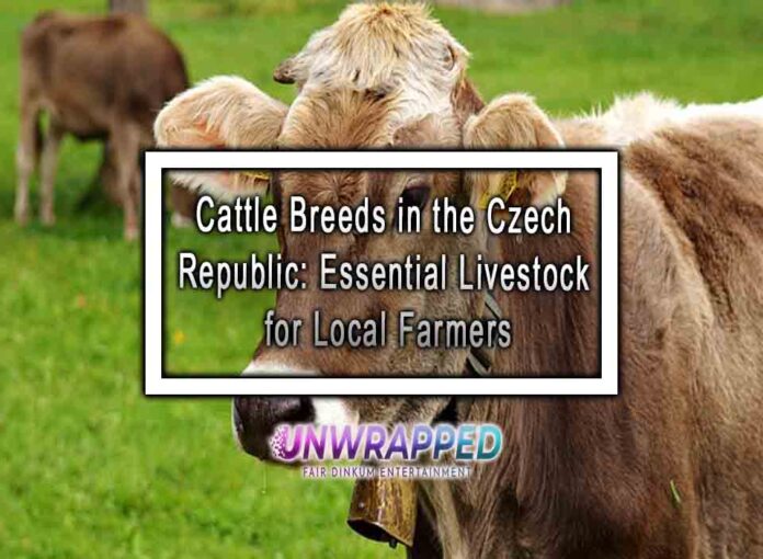 Cattle Breeds in the Czech Republic: Essential Livestock for Local Farmers