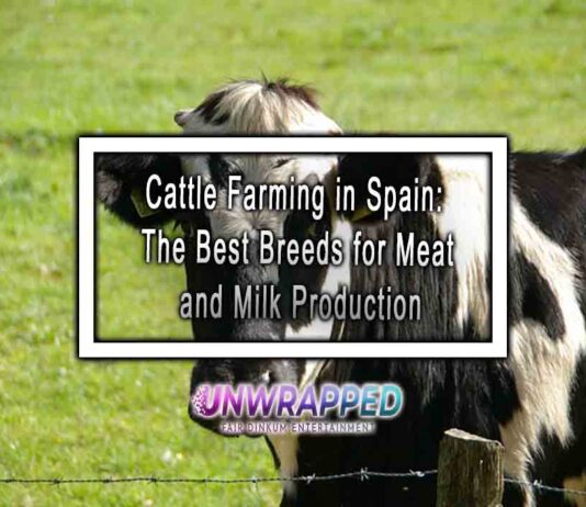Cattle Farming in Spain: The Best Breeds for Meat and Milk Production