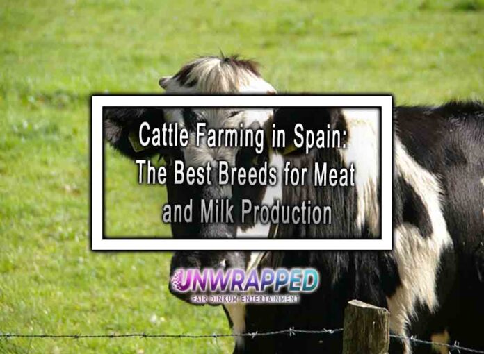 Cattle Farming in Spain: The Best Breeds for Meat and Milk Production