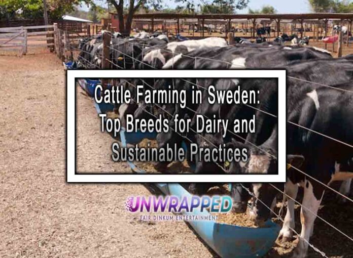 Cattle Farming in Sweden: Top Breeds for Dairy and Sustainable Practices