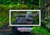 Could a Cassowary Actually Kill You? Australia’s Real-Life Dinosaur Could a Cassowary Actually Kill You? Australia’s Real-Life Dinosaur