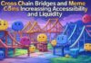 Cross Chain Bridges and Meme Coins: Increasing Accessibility and Liquidity Cross Chain Bridges and Meme Coins Increasing Accessibility and Liquidity