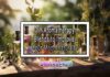 DIY Aromatherapy Blends to Improve Your Mood Naturally DIY Aromatherapy Blends to Improve Your Mood Naturally