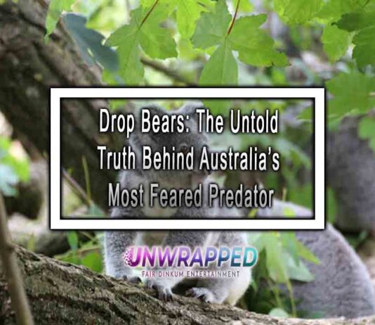 Drop Bears: The Untold Truth Behind Australia’s Most Feared Predator