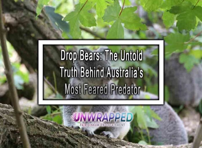 Drop Bears: The Untold Truth Behind Australia’s Most Feared Predator