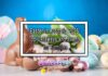Easter in Australia 2025: Top Getaways and Events for Families Easter in Australia 2025: Top Getaways and Events for Families