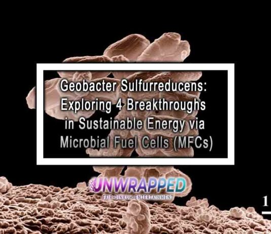 Geobacter Sulfurreducens: Exploring 4 Breakthroughs in Sustainable Energy via Microbial Fuel Cells (MFCs)