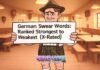 German Swear Words: Ranked Strongest to Weakest (X-Rated)