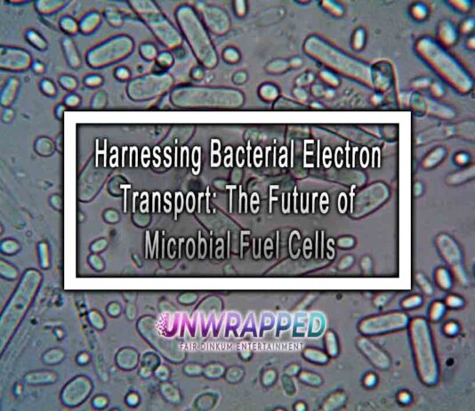 Harnessing Bacterial Electron Transport: The Future of Microbial Fuel Cells