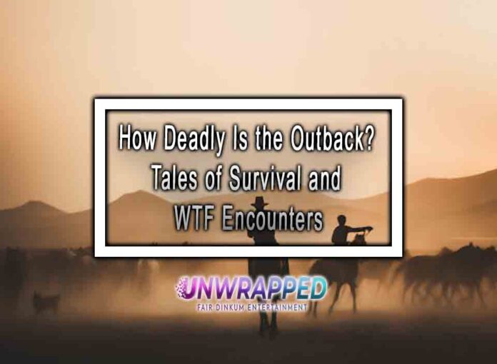 How Deadly Is the Outback? Tales of Survival and WTF Encounters