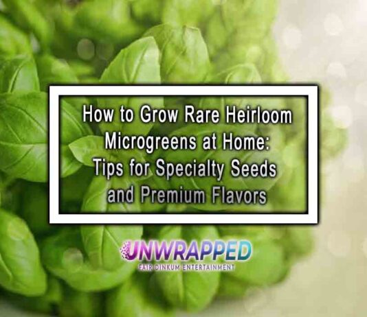 How to Grow Rare Heirloom Microgreens at Home: Tips for Specialty Seeds and Premium Flavors