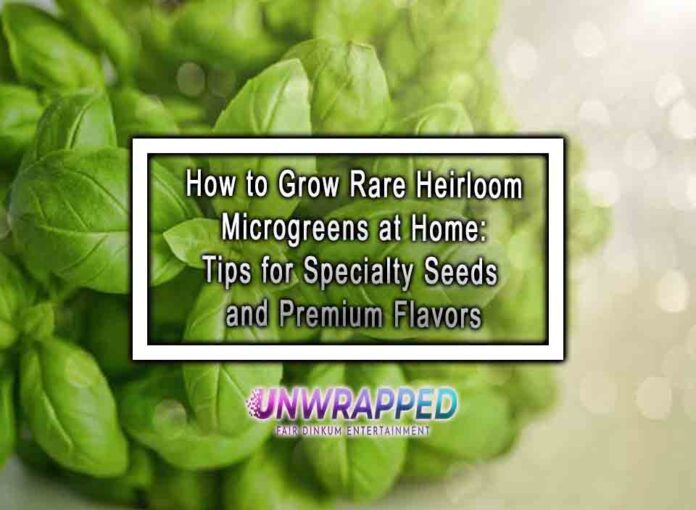 How to Grow Rare Heirloom Microgreens at Home Tips for Specialty Seeds and Premium Flavors How to Grow Rare Heirloom Microgreens at Home: Tips for Specialty Seeds and Premium Flavors