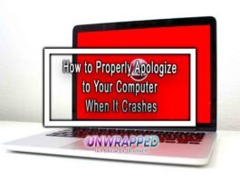 How to Properly Apologize to Your Computer When It Crashes