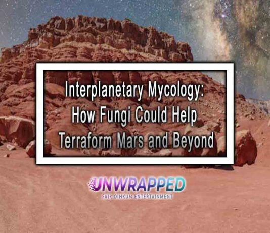 Interplanetary Mycology: How Fungi Could Help Terraform Mars and Beyond