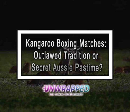 Kangaroo Boxing Matches: Outlawed Tradition or Secret Aussie Pastime?