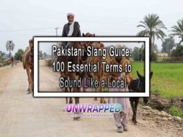 Pakistani Slang Guide: 100 Essential Terms to Sound Like a Local
