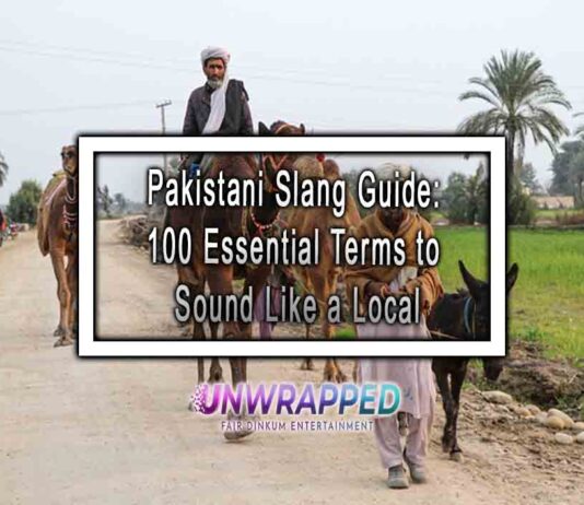 Pakistani Slang Guide: 100 Essential Terms to Sound Like a Local