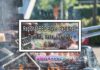 Regional BBQ Styles Explained: Carolina, Texas, Memphis & More Regional BBQ Styles Explained: Carolina, Texas, Memphis & More