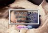 Sleep Hygiene for Kids: Establishing Healthy Bedtime Routines Sleep Hygiene for Kids: Establishing Healthy Bedtime Routines
