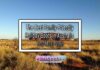 The Best Family-Friendly Holiday Spots in Australia You Must Visit The Best Family-Friendly Holiday Spots in Australia You Must Visit