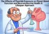 The Effects of Fluoride Exposure on Pineal Gland Function and Neuroendocrine Health: A Lifespan Approach The Effects of Fluoride Exposure on Pineal Gland Function and Neuroendocrine Health: A Lifespan Approach