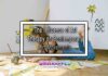The Influence of Art Therapy on Contemporary Art Movements The Influence of Art Therapy on Contemporary Art Movements