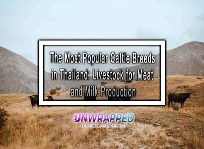 The Most Popular Cattle Breeds in Thailand: Livestock for Meat and Milk Production